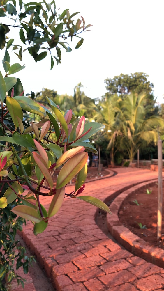 surve natures resort