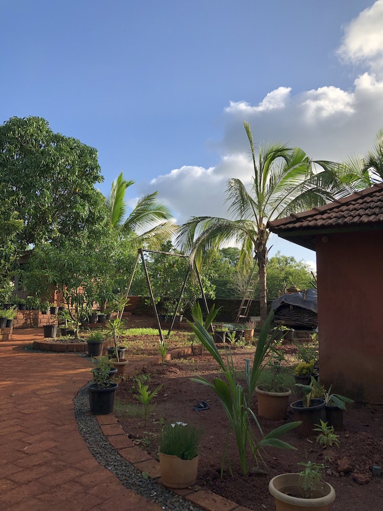 surve natures resort