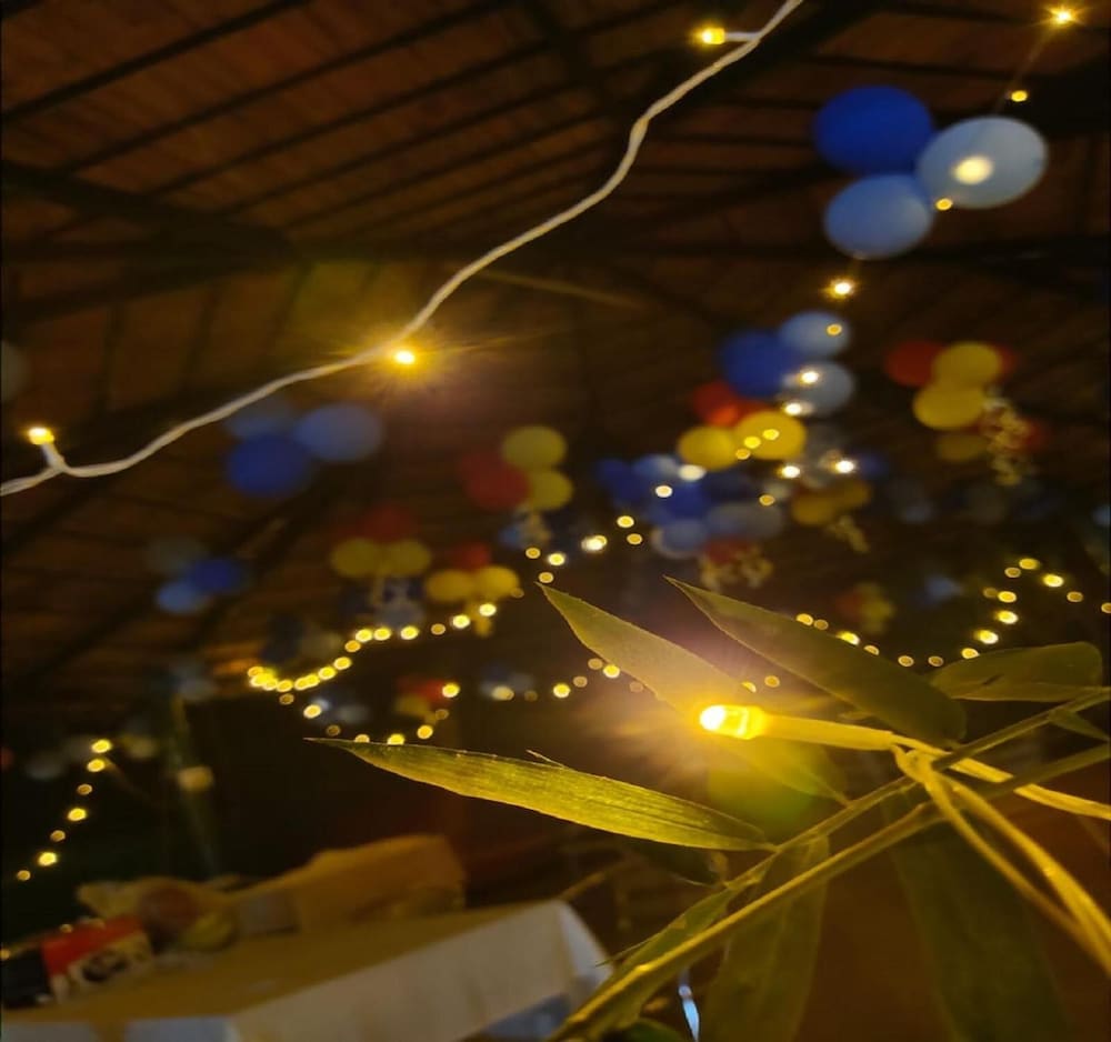 surve natures resort