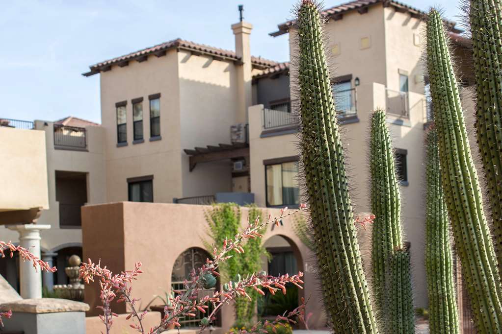 bluegreen cibola vista resort and spa an ascend resort