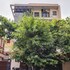 noida