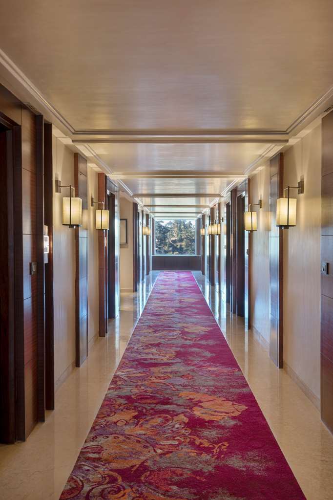 radisson kufri