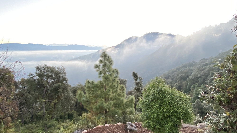 ananta prana glamping resort hotel mussoorie