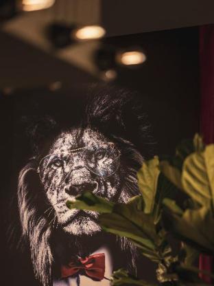 dandy hotel and kitchen