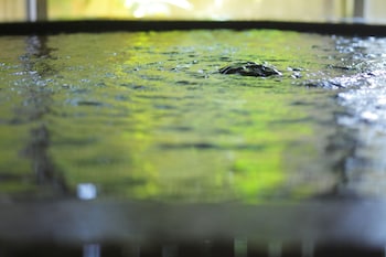 fujiya ryokan