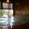 fujiya ryokan