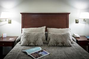 Gran Brizo Comahue,Neuquen>>Cipolletti,4 star