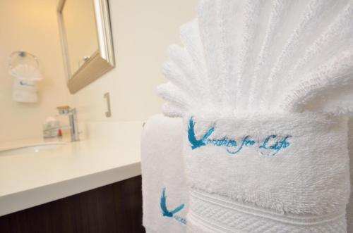 royal st kitts hotel