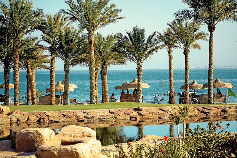 palm royale resort soma bay