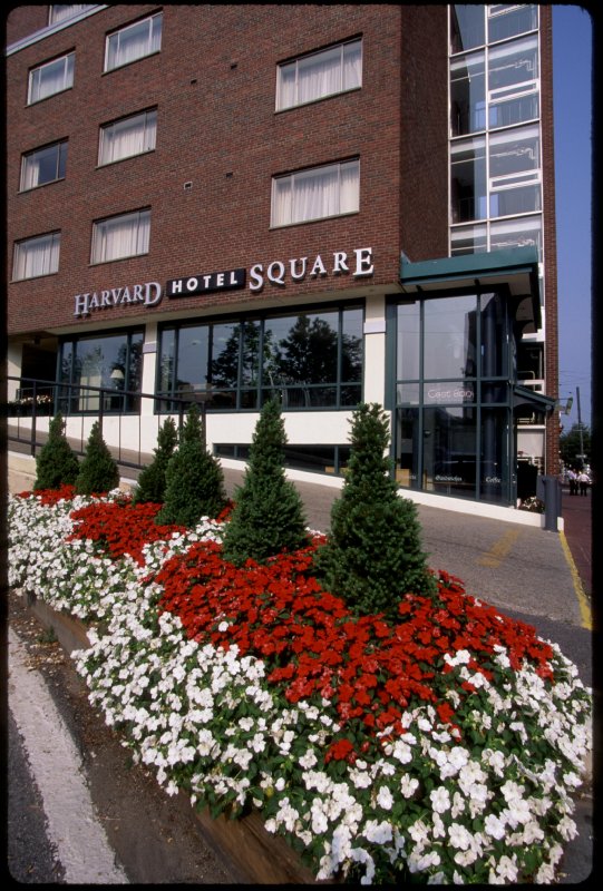 harvard square hotel