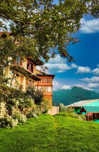 banjara retreat and cottage sojha
