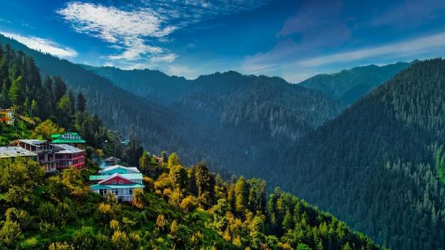 banjara retreat and cottage sojha