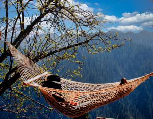 banjara retreat and cottage sojha