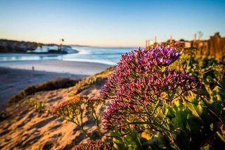 Hilton San Diego/Del Mar,Del Mar>>California,4 star
