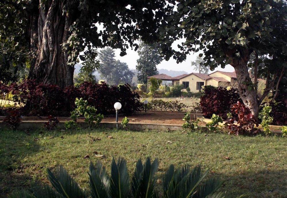 bandhavgarh