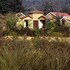 bandhavgarh