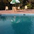 bandhavgarh