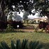 bandhavgarh