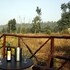 bandhavgarh