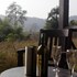 bandhavgarh