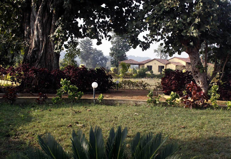 bandhavgarh
