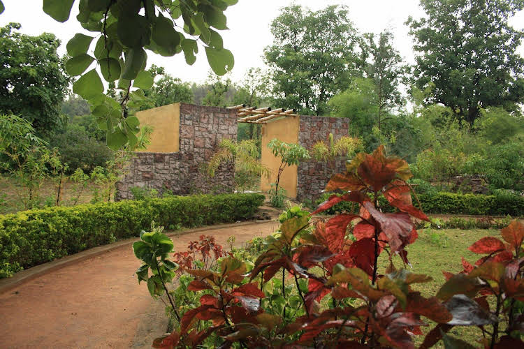 bandhavgarh