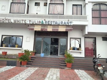 udaipur