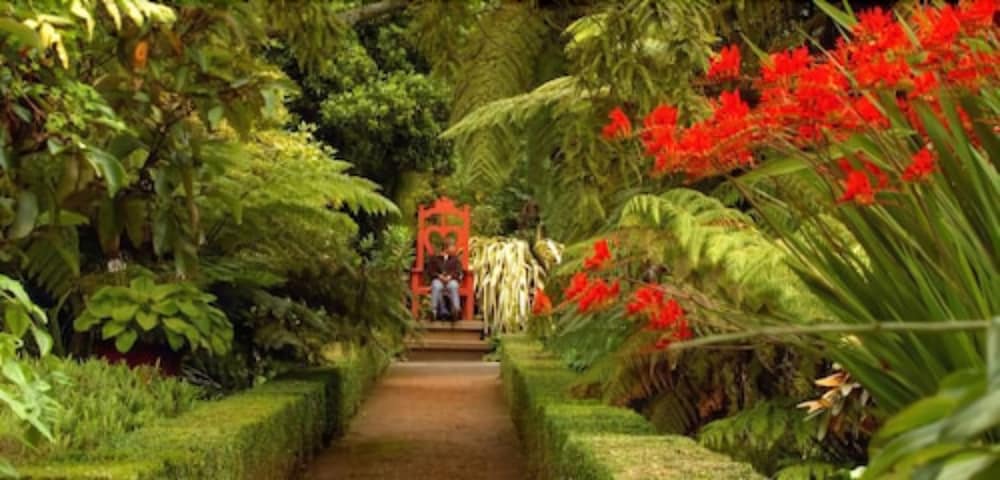 dunedin
