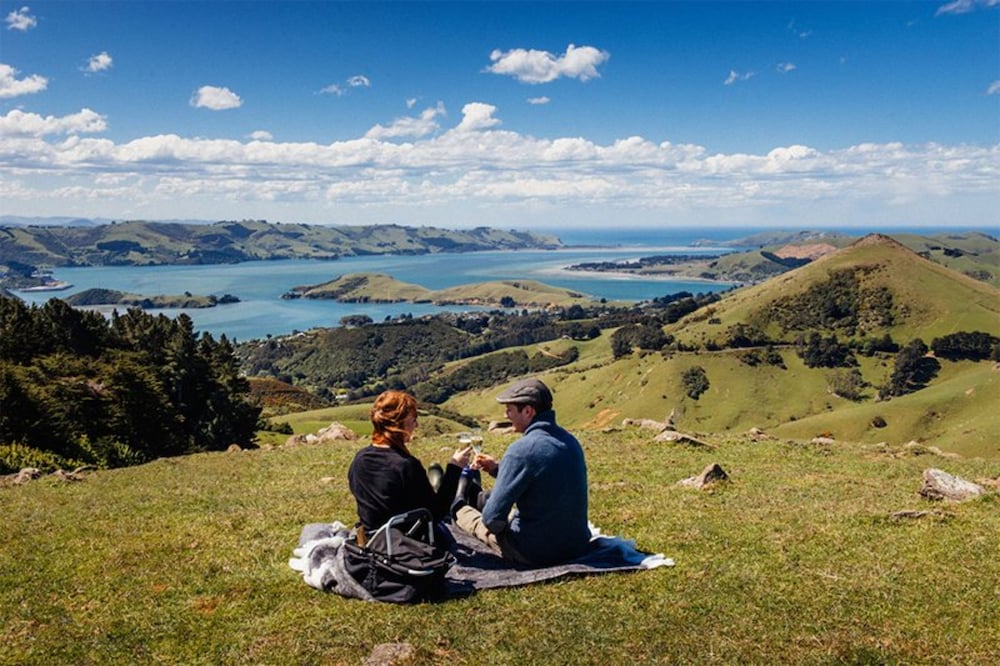 dunedin