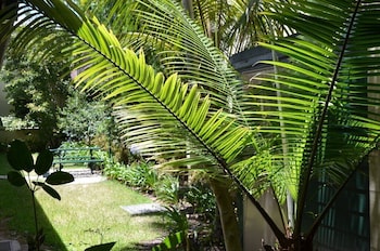 avonmore on the park boutique hotel