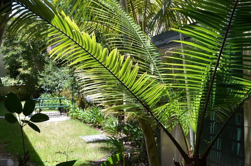 avonmore on the park boutique hotel