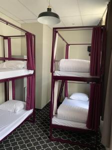 safestay brussels grand place