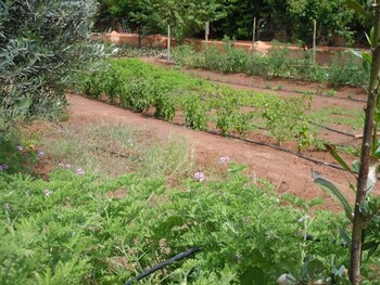 riad jnane ines