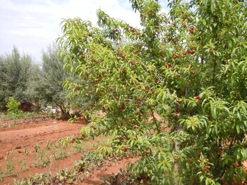 riad jnane ines