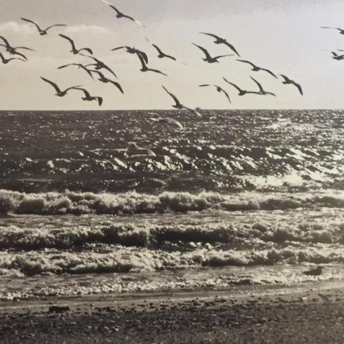 the marbella heights boutique hotel