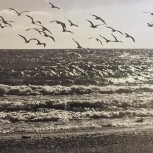 the marbella heights boutique hotel