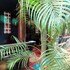 casa fiesta