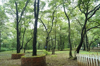 goa