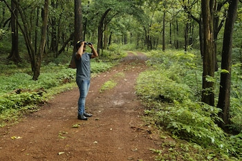 goa