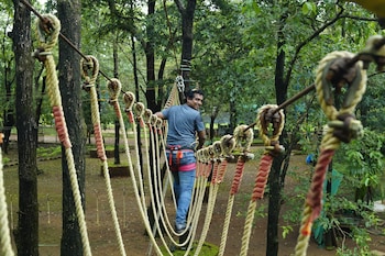 goa