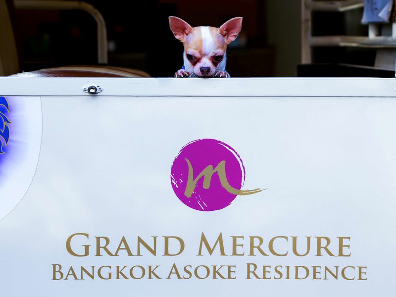 grand mercure bangkok asoke residence