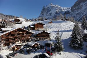 Hotel Alpenhof,Grindelwald>>Bern,3 star