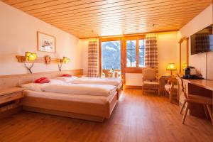 Hotel Alpenhof,Grindelwald>>Bern,3 star