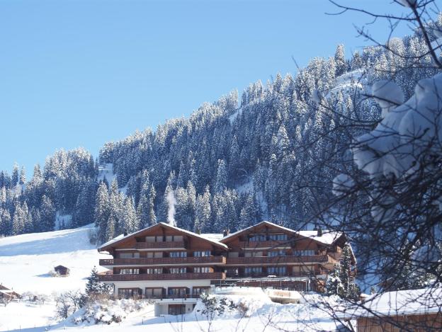 le grand chalet