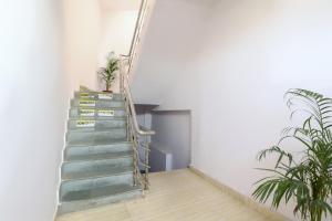 hotel o 67309 hotel tuk tuk palace