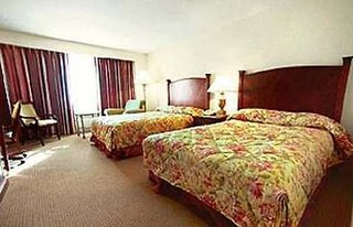 Hilton Boston Logan Airport,Downtown Boston>>Boston,4 star