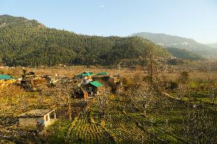 Barpa Cottage Manali,India>>Manali,3 star