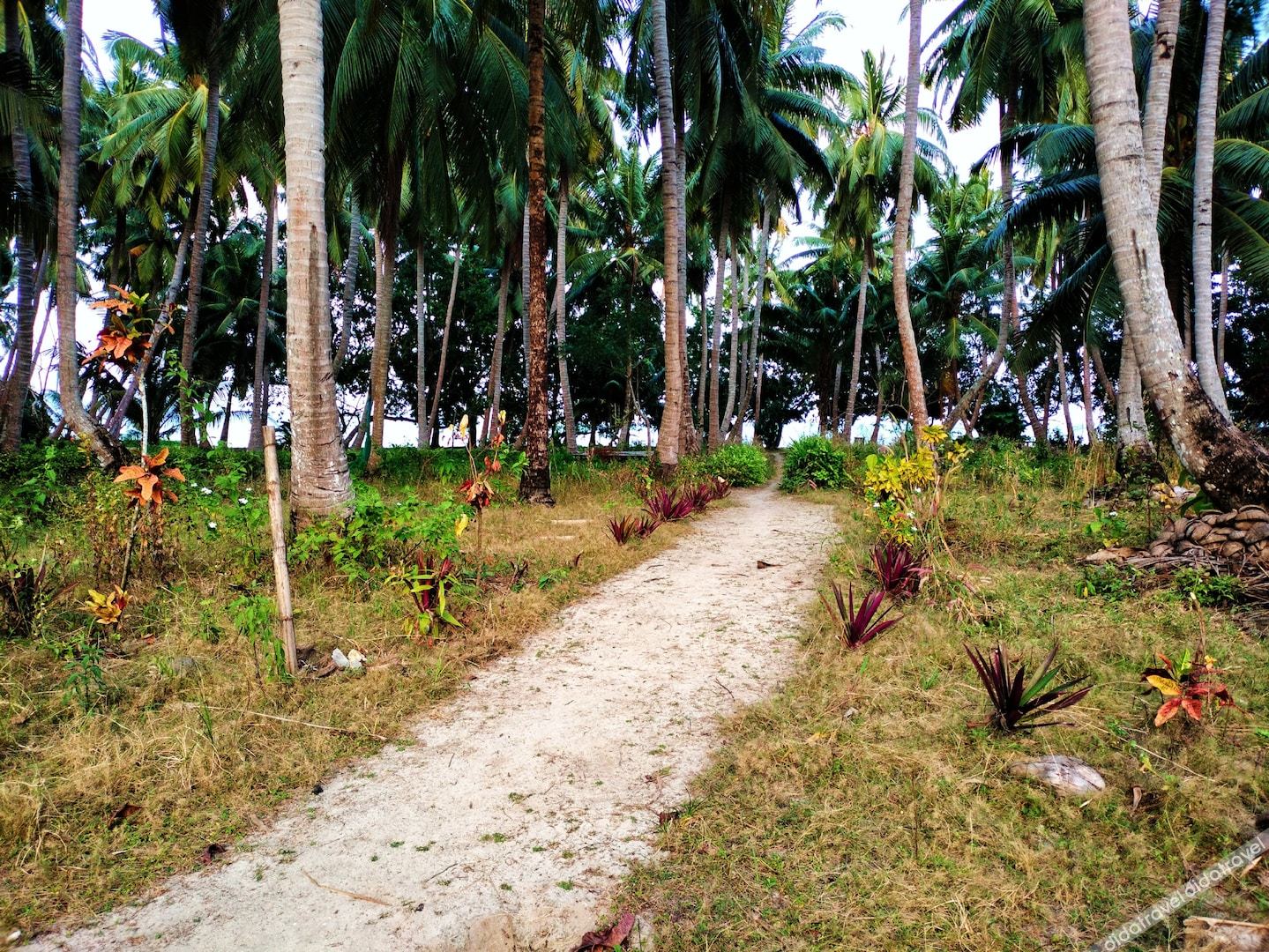 havelock island