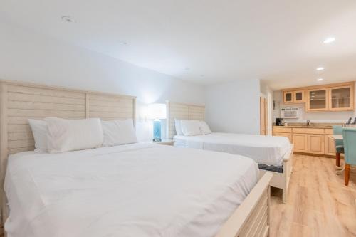 coco beach hotel on south padre island