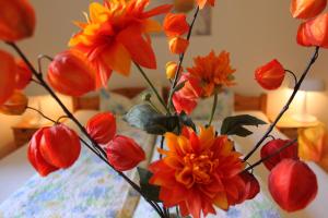 pension stoi budget guesthouse